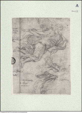 Vorderseite von Museum Kunstpalast [https://www.deutsche-digitale-bibliothek.de/content/lizenzen/rv-ez/] Fama (Nachzeichnung nach einem unbestimmten Vorbild) - , bh451351_recto. Foto.