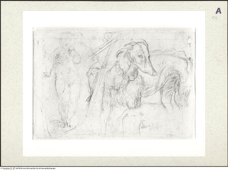 Vorderseite von bh452390_recto