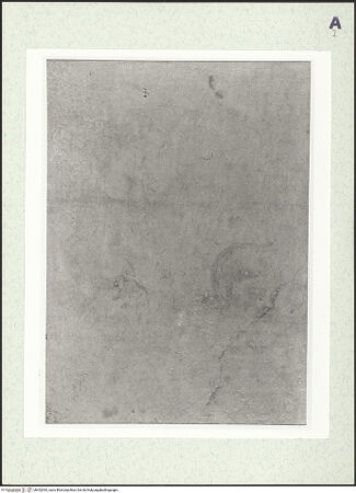 Vorderseite von bh452393_recto