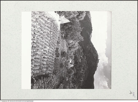 Vorderseite von bh452428_recto