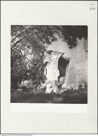 Vorderseite von bh452433_recto