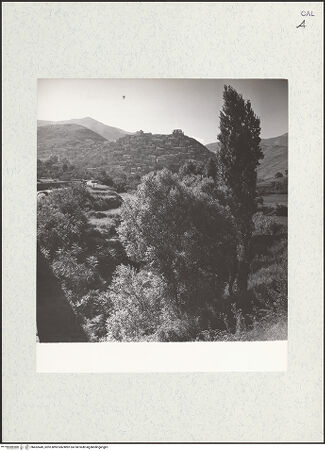 Vorderseite von bh452449_recto