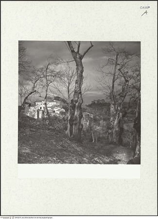 Vorderseite von Bibliotheca Hertziana [https://www.deutsche-digitale-bibliothek.de/content/lizenzen/rv-fz/] Blick auf das Castello, bh452819_recto. Foto: Zallinger zu Stillendorf, Marlies von.