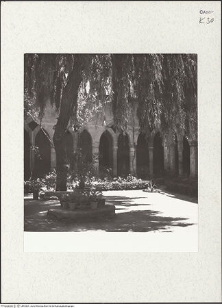 Vorderseite von Bibliotheca Hertziana [https://www.deutsche-digitale-bibliothek.de/content/lizenzen/rv-fz/] San FrancescoChiostro - Südöstliche Ecke, bh452821_recto. Foto: Zallinger zu Stillendorf, Marlies von.