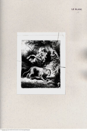 Vorderseite von bh454052