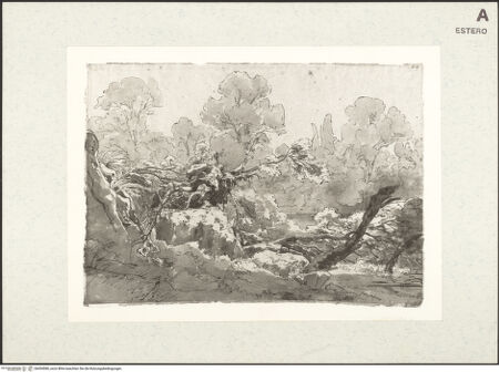 Vorderseite von Boerner, C. G. [https://www.deutsche-digitale-bibliothek.de/content/lizenzen/rv-fz/] Im Park der Villa Chigi in Ariccia - , bh454580_recto. Foto.