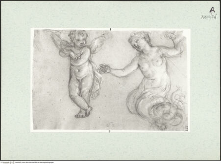 Vorderseite von bh455051_recto