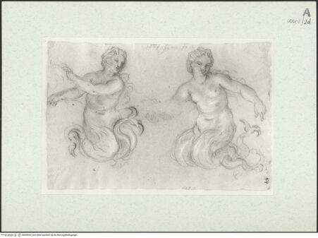 Vorderseite von bh455053_recto