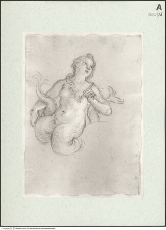 Vorderseite von bh455055_recto