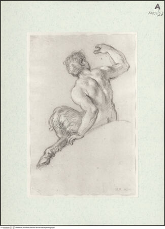 Vorderseite von bh455056_recto