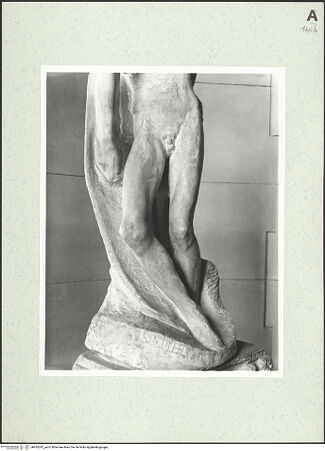 Vorderseite von bh455242_recto