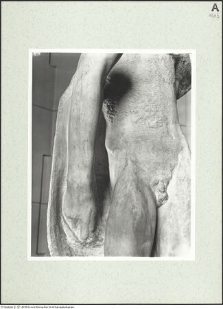 Vorderseite von bh455243_recto