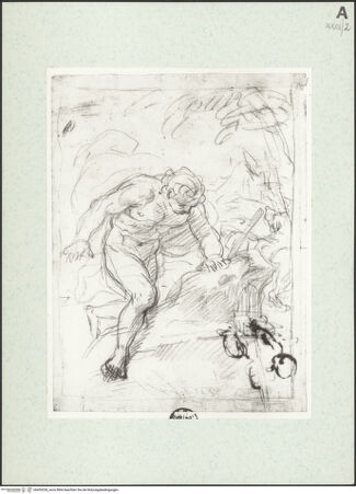 Vorderseite von bh455328_recto