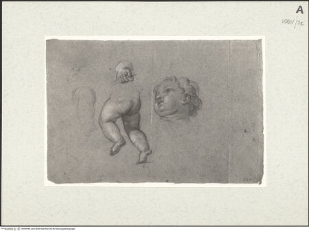 Vorderseite von bh455444_recto