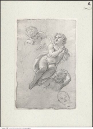 Vorderseite von bh455496_recto