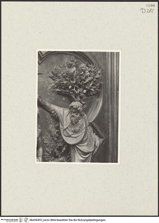 Vorderseite von bh455497_recto