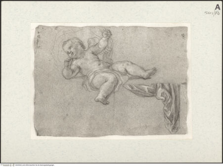 Vorderseite von bh455502_recto