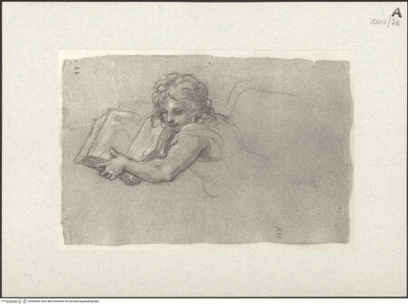 Vorderseite von bh455503_recto