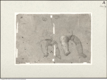 Vorderseite von bh455509_recto