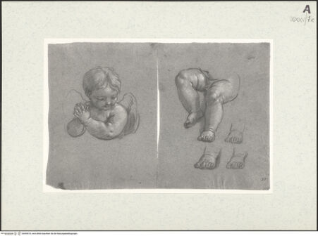 Vorderseite von bh455510_recto