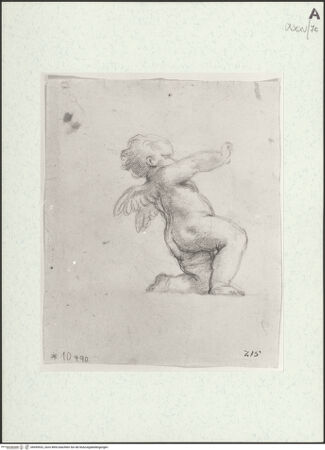 Vorderseite von bh455532_recto