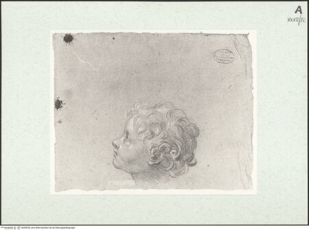 Vorderseite von bh455535_recto