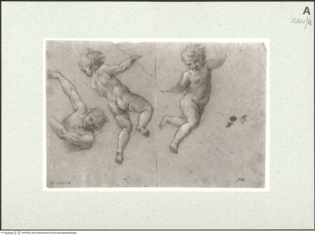 Vorderseite von bh455536_recto