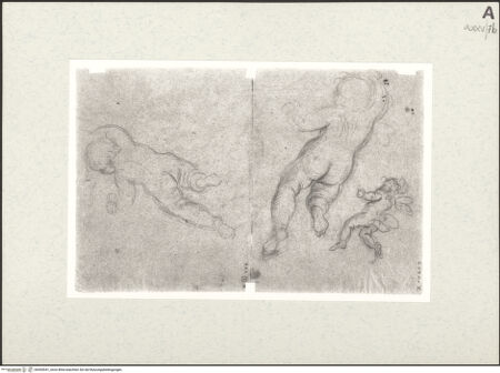 Vorderseite von bh455541_recto