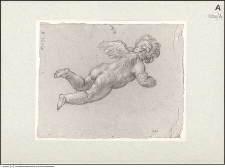 Vorderseite von bh455544_recto