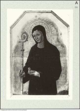 Vorderseite von bh455625_recto