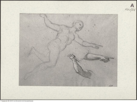 Vorderseite von bh456187_recto