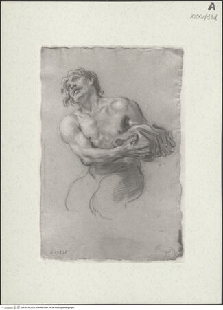 Vorderseite von bh456194_recto