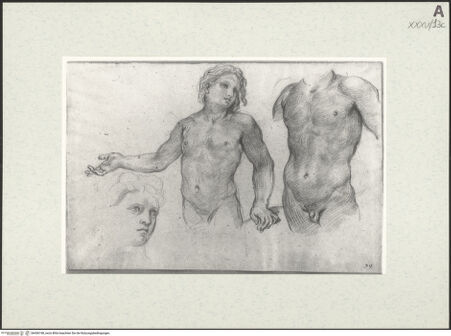 Vorderseite von bh456198_recto