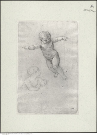 Vorderseite von bh456203_recto