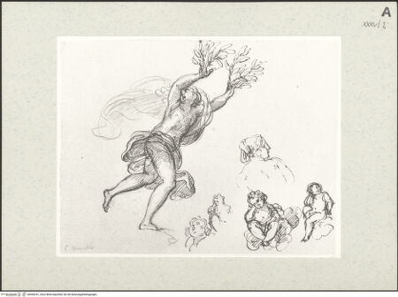 Vorderseite von bh456241_recto