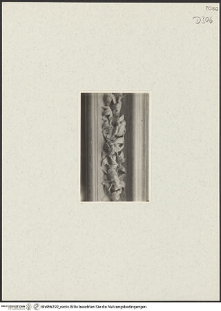 Vorderseite von bh456292_recto