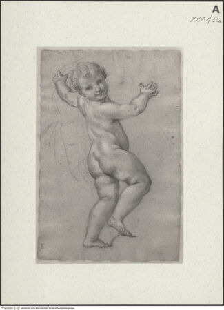 Vorderseite von bh456316_recto