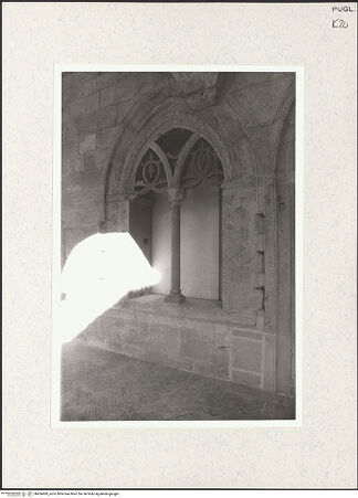 Vorderseite von Bruzelius, Caroline [https://www.deutsche-digitale-bibliothek.de/content/lizenzen/rv-ez/] San Domenico MaggioreChiostro - Fenster, bh456499_recto. Foto: Brummel, Chester.