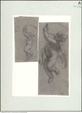 Vorderseite von bh456781_recto