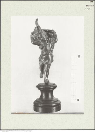 Vorderseite von Sopr. BAA Ravenna, Ferrara e Forlì [https://www.deutsche-digitale-bibliothek.de/content/lizenzen/rv-ez/] Knabe, der eine Muschel trägt - Vorderansicht, bh456898_recto. Foto.