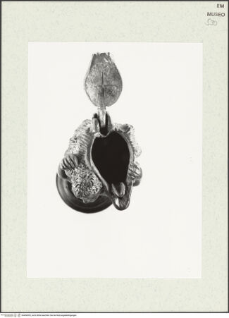 Vorderseite von Sopr. BAA Ravenna, Ferrara e Forlì [https://www.deutsche-digitale-bibliothek.de/content/lizenzen/rv-ez/] Knabe, der eine Muschel trägt - von oben gesehen, bh456905_recto. Foto.