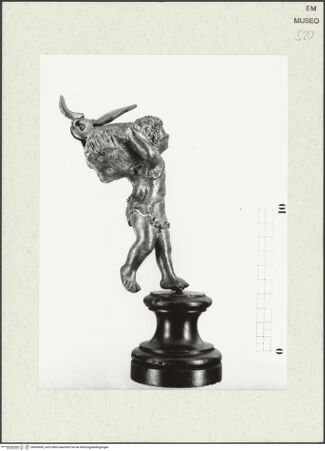 Vorderseite von Sopr. BAA Ravenna, Ferrara e Forlì [https://www.deutsche-digitale-bibliothek.de/content/lizenzen/rv-ez/] Knabe, der eine Muschel trägt - Seitenansicht, bh456906_recto. Foto.