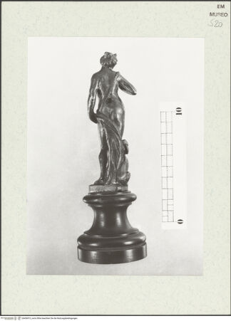 Vorderseite von Sopr. BAA Ravenna, Ferrara e Forlì [https://www.deutsche-digitale-bibliothek.de/content/lizenzen/rv-ez/] Diana - Rückansicht, bh456913_recto. Foto.