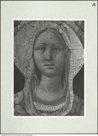 Vorderseite von unbekannt [https://www.deutsche-digitale-bibliothek.de/content/lizenzen/rv-fz/] Zweiseitige ProzessionstafelSchutzmantelmadonna, von zwei Engeln bekrönt - Detail des Antlitzes der Madonna, bh457128_recto. Foto.