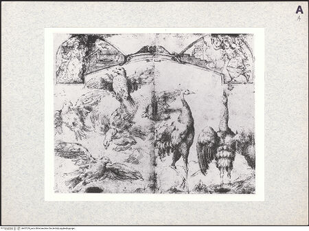 Vorderseite von bh457276_recto