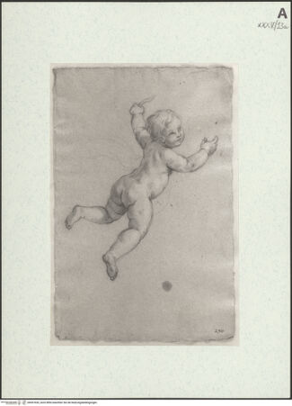 Vorderseite von bh457650_recto