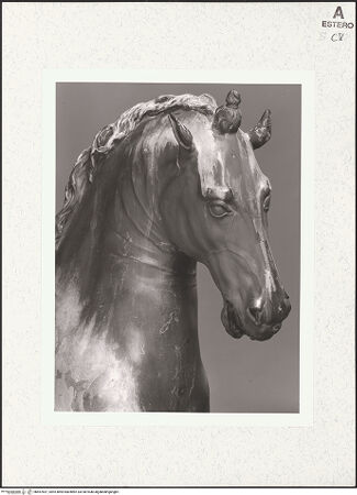 Vorderseite von bh457837_recto