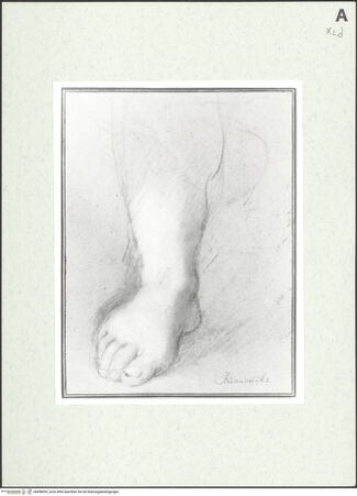 Vorderseite von bh458093_recto