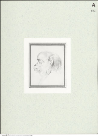 Vorderseite von bh458185_recto