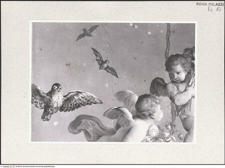 Vorderseite von Sopr. BAS ROMA [https://www.deutsche-digitale-bibliothek.de/content/lizenzen/rv-ez/] Deckenmalerei mit einer Personifikation der Morgenröte und Puttenmedaillons - Detail: Putten und Eulen, bh458276_recto. Foto.